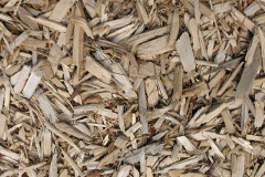 biomass boilers Long Oak